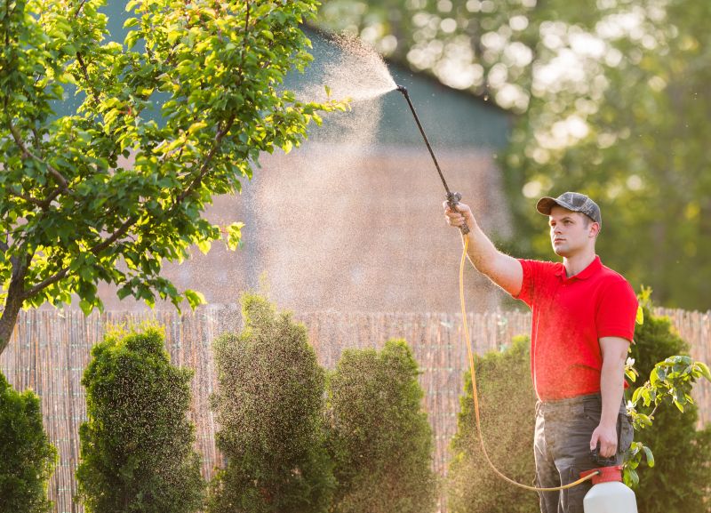 Arborist Spraying in San Jose, CA