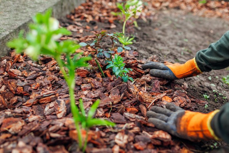Brown Mulch Installation in Ventura County, CA