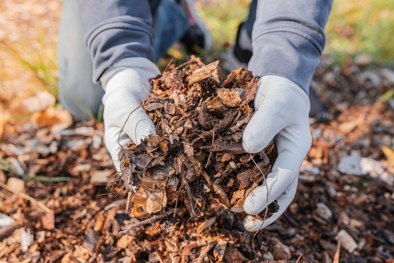 Brown Mulch Installation in Aiken, SC