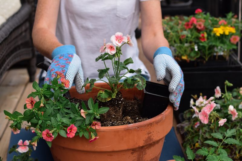 Bush Planting Service in Aiken, SC