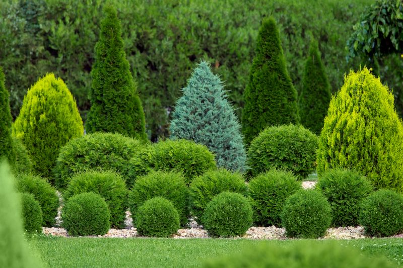 Bush Replacement in Ventura County, CA