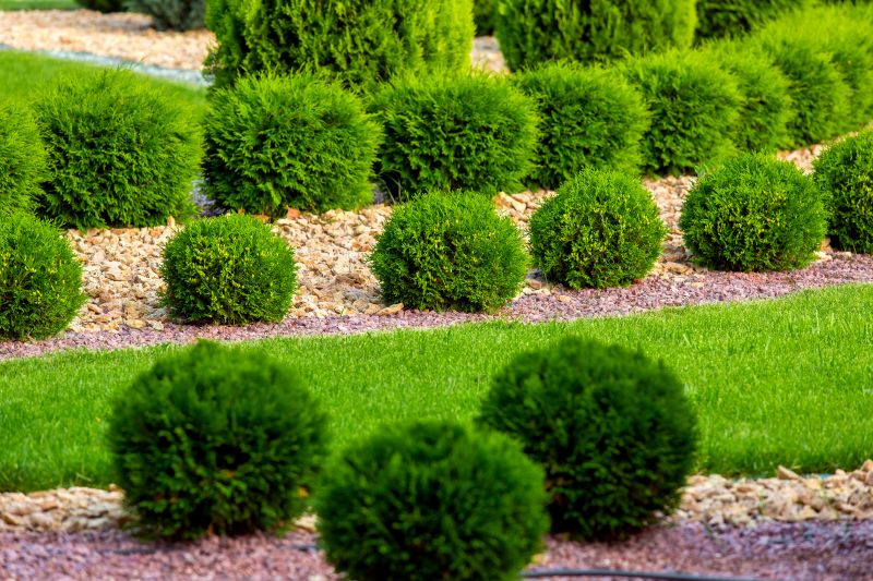 Bush Replacement in Aiken, SC