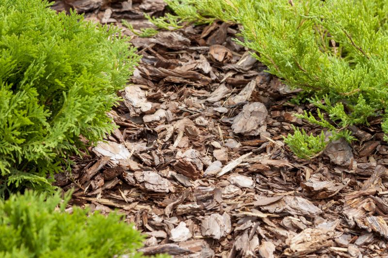 Cypress Mulch Installation in Aiken, SC
