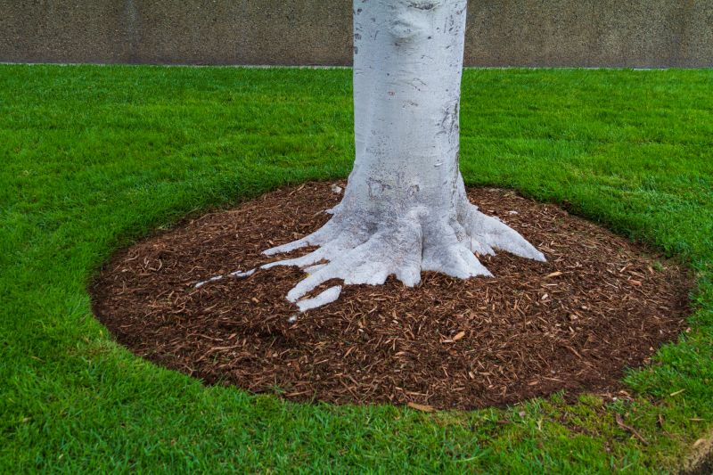 Cypress Mulch Installation in Aiken, SC