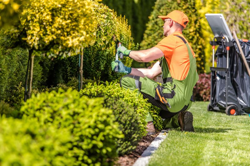 Damaged Yard Repair in Ventura County, CA