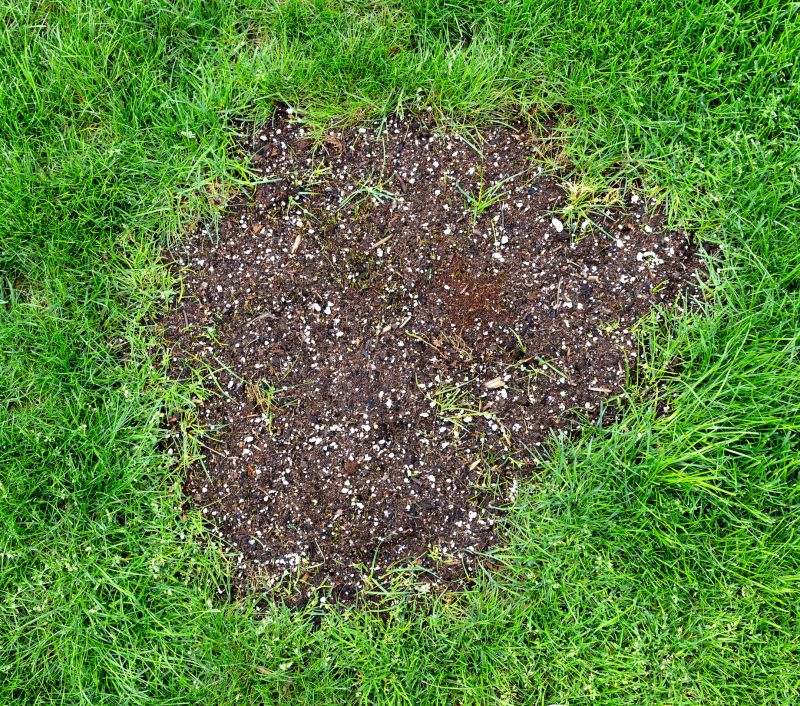 Damaged Yard Repair in Ventura County, CA
