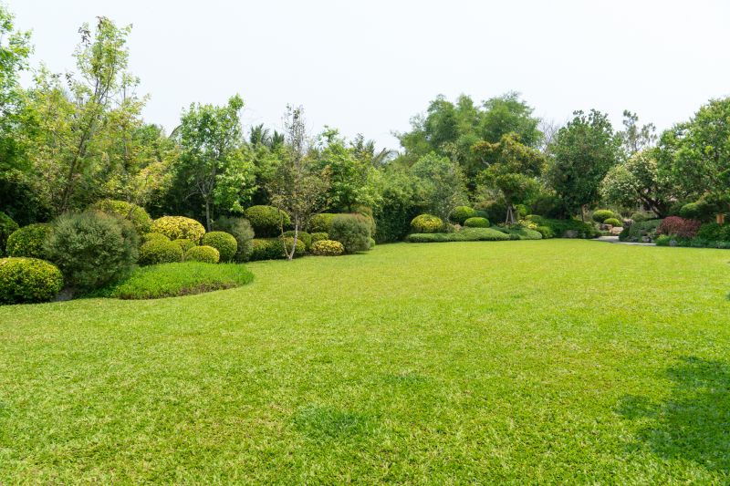 Drought Resistant Landscaping in Honolulu, HI