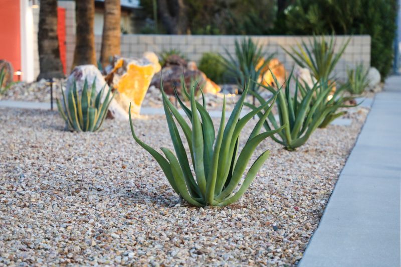 Drought Resistant Landscaping in Ventura County, CA