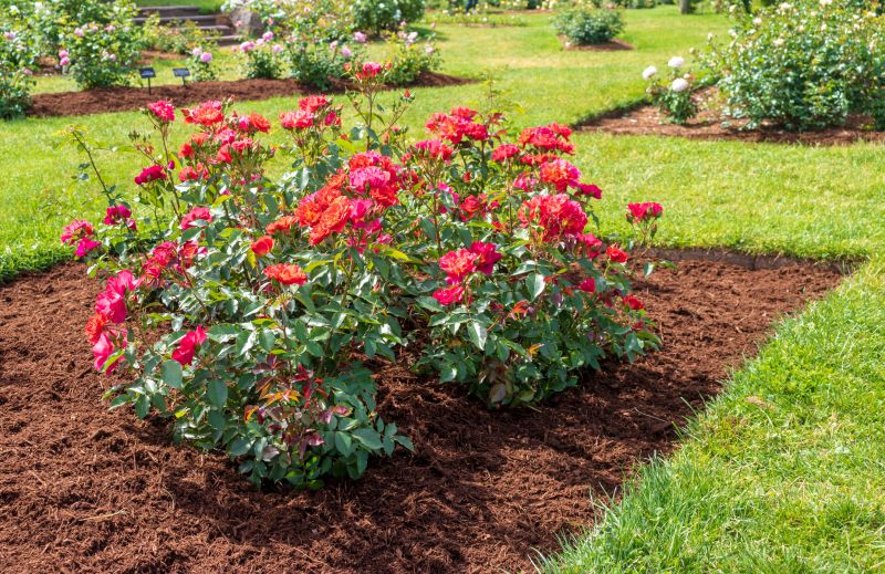 Flower Bed Cleanup Service in Aiken, SC