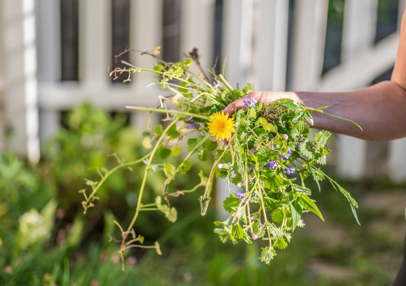 Flower Bed Cleanup Service in Aiken, SC