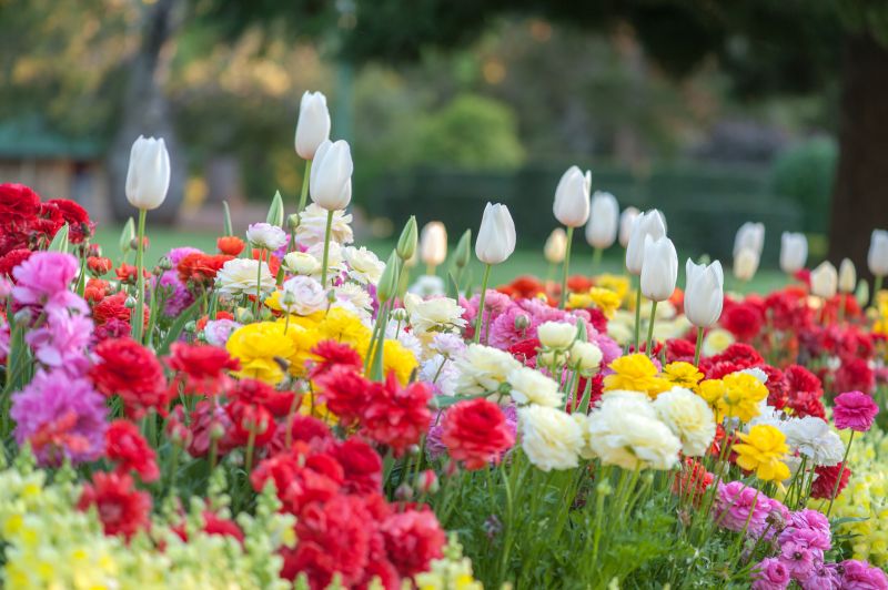Flower Landscaping in Aiken, SC