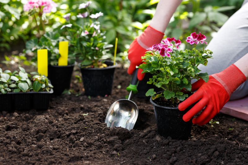 Flower Planting Service in Aiken, SC