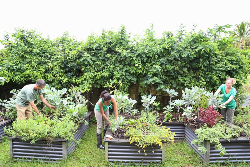 Garden Bed Construction in Aiken, SC