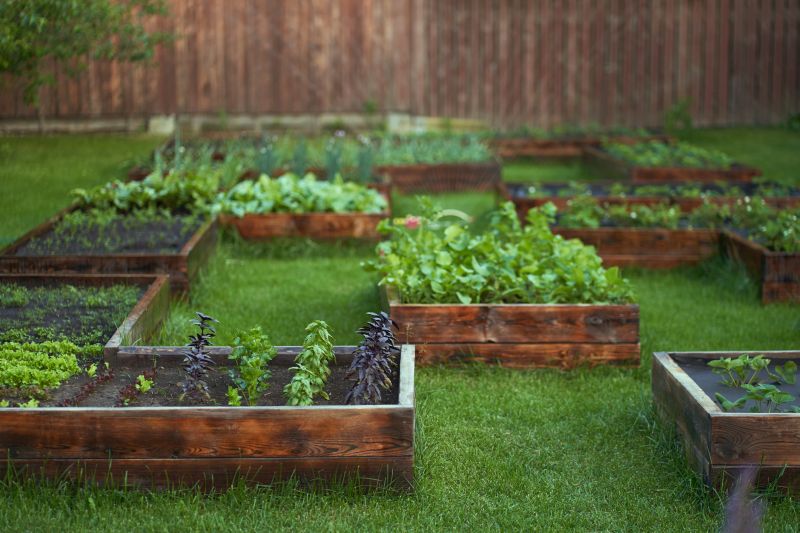 Garden Bed Construction in Aiken, SC