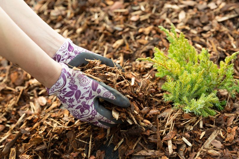 Garden Mulch Installation in Aiken, SC