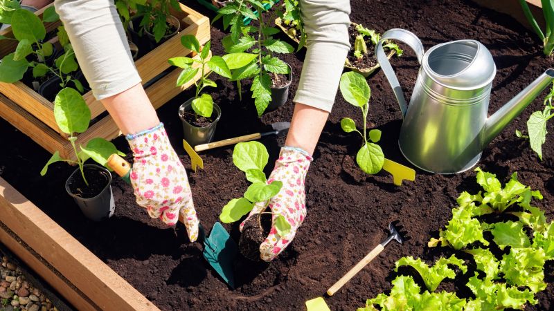 Gardening Service in Aiken, SC