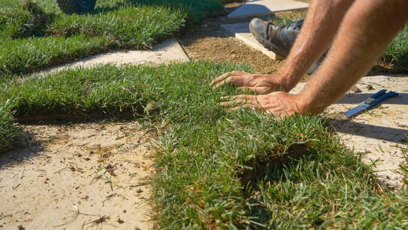 Grass Patching in Ventura County, CA
