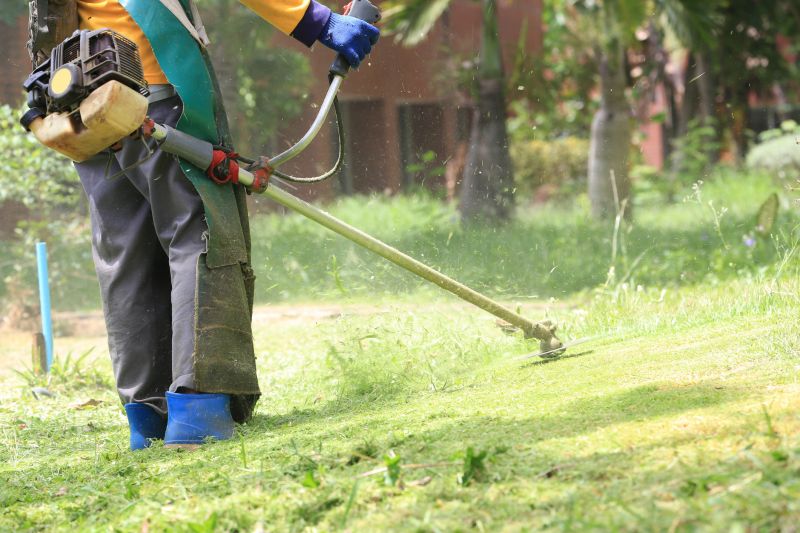 Grass Repair in Ventura County, CA
