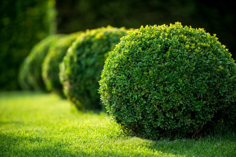 Greenery Planting in Aiken, SC