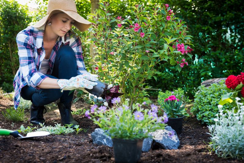 Ground Cover Planting in Aiken, SC