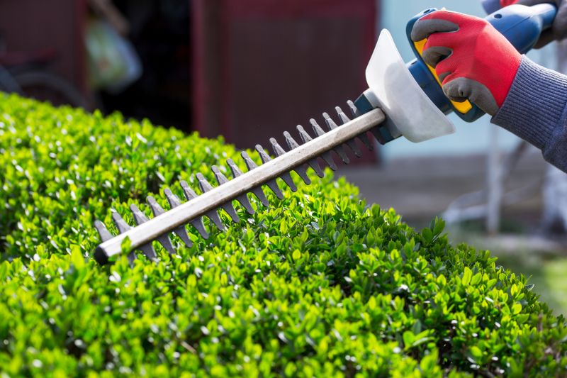 Hedge Installation in Aiken, SC
