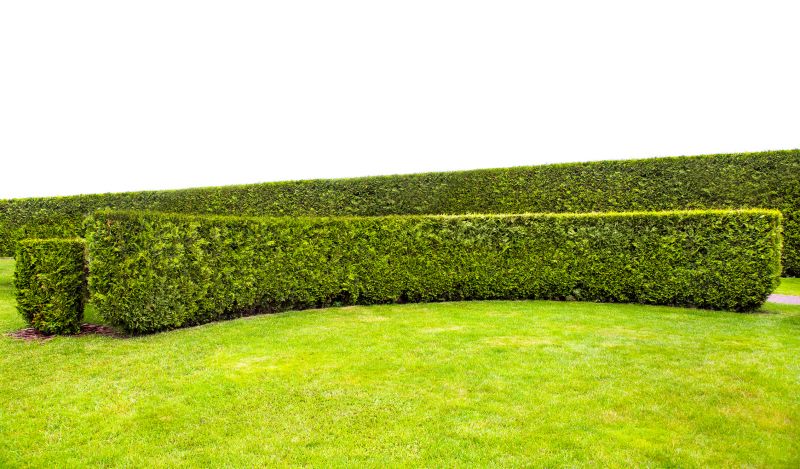 Hedge Landscaping in Aiken, SC