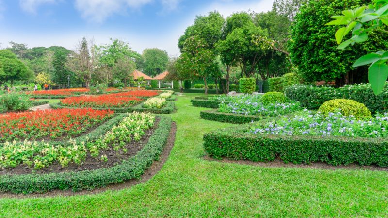 Hedge Landscaping in Aiken, SC