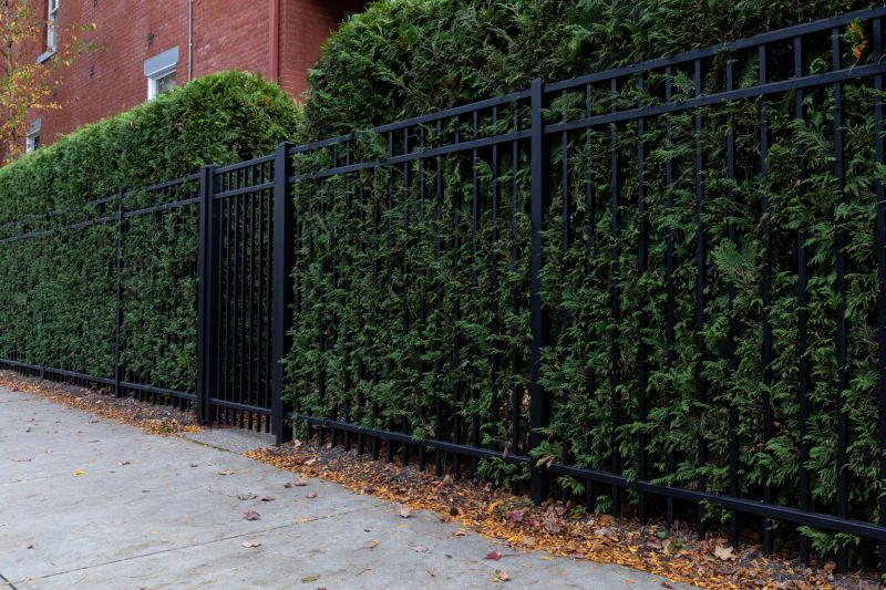 Hedge Replacement in Aiken, SC