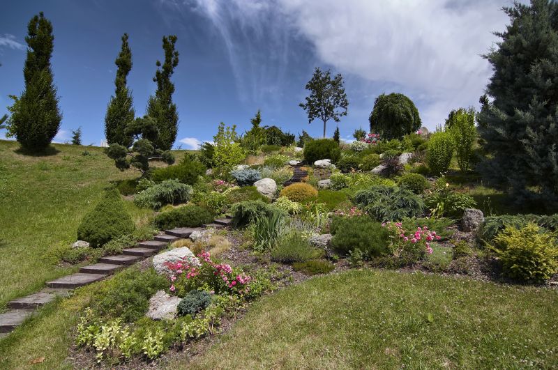 Hill Landscaping in Ventura County, CA