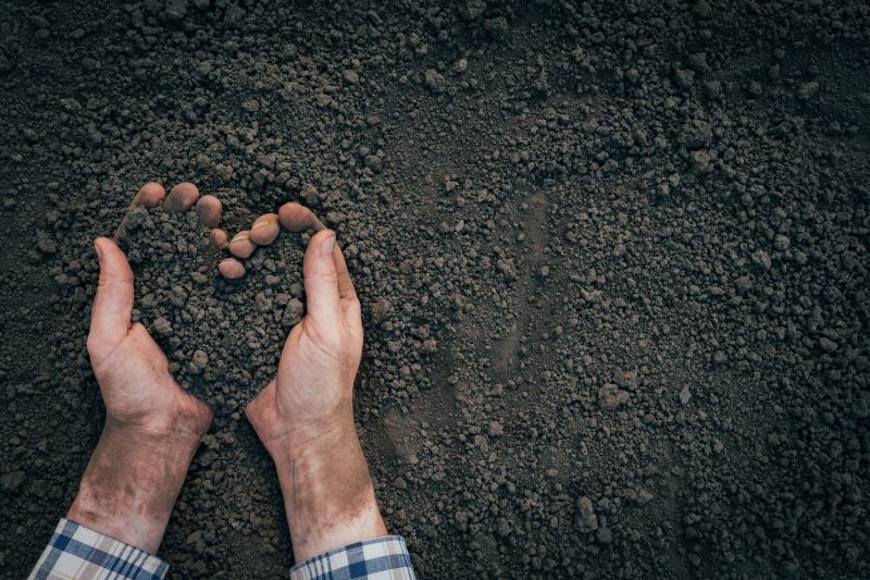 Hill Landscaping in Ventura County, CA
