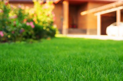 Hill Landscaping in Ventura County, CA