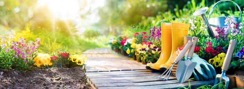 Home Gardening Service in Aiken, SC