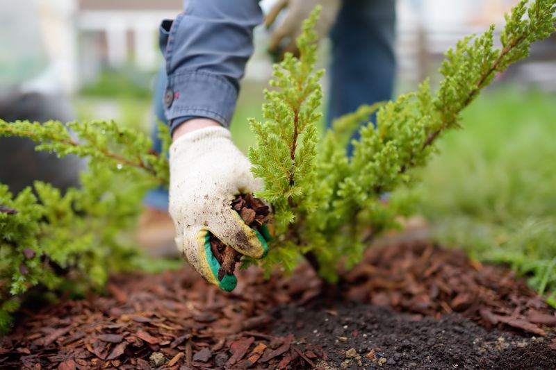 Hotel Mulching in Aiken, SC
