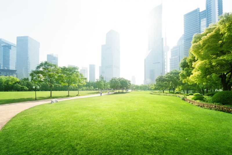 Industrial Landscaping Service in Aiken, SC