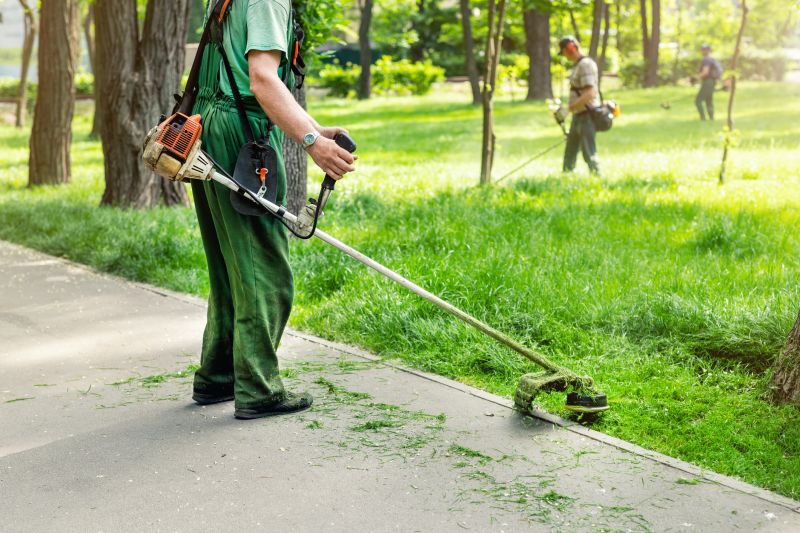 Landscape Maintenance Service in Honolulu, HI