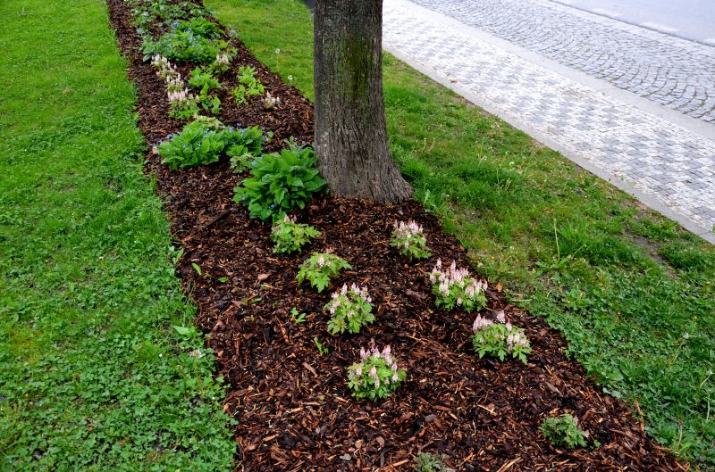 Landscape Mulching in Honolulu, HI
