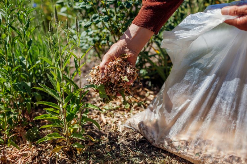 Landscape Mulching in Ventura County, CA