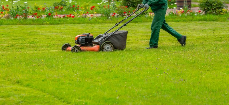 Landscaping Maintenance in Honolulu, HI
