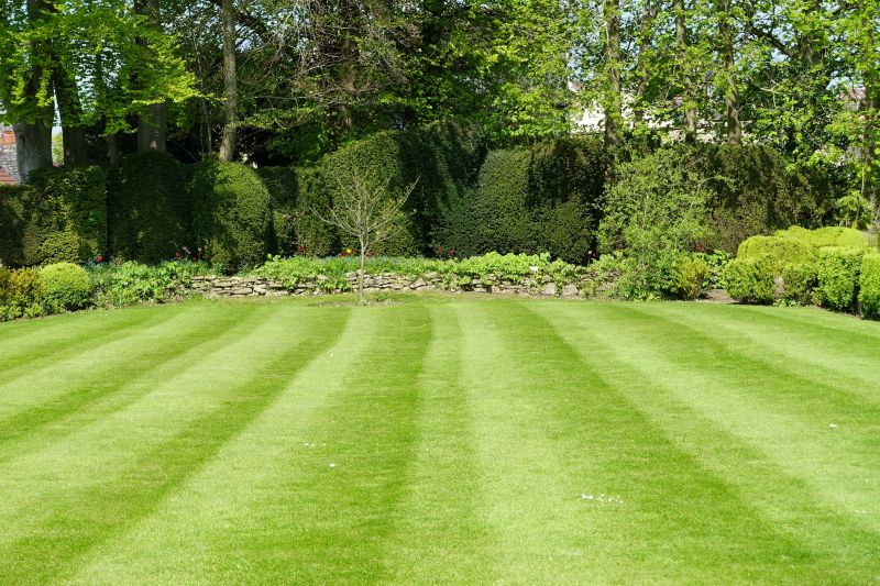 Landscaping Replacement in Honolulu, HI