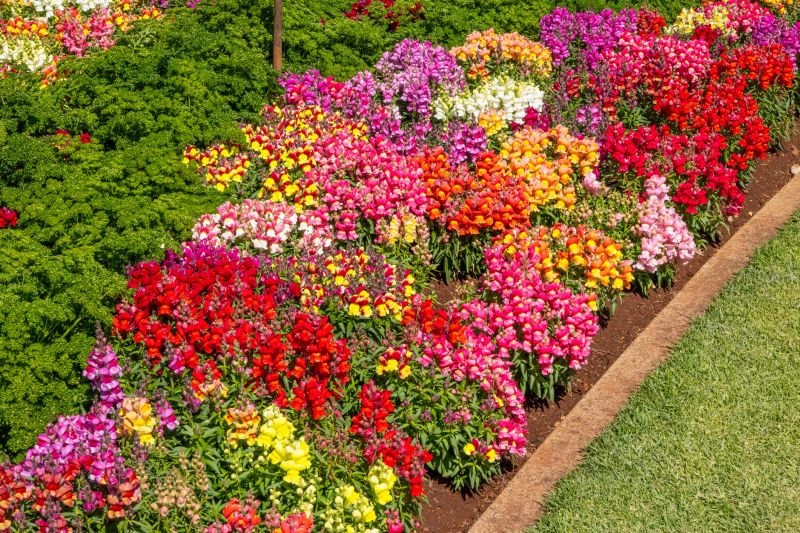 Lawn Border Installation in Ventura County, CA