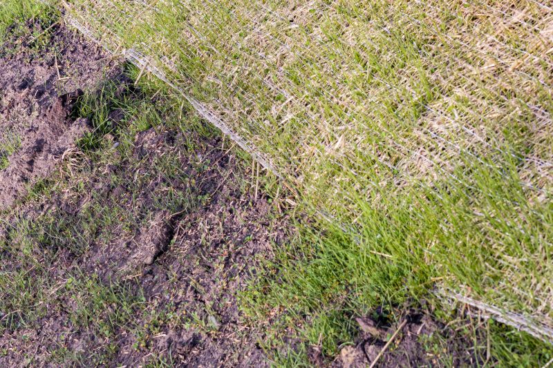 Lawn Erosion Control in Honolulu, HI
