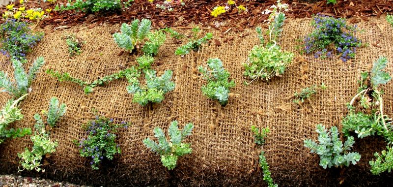 Lawn Erosion Control in Honolulu, HI