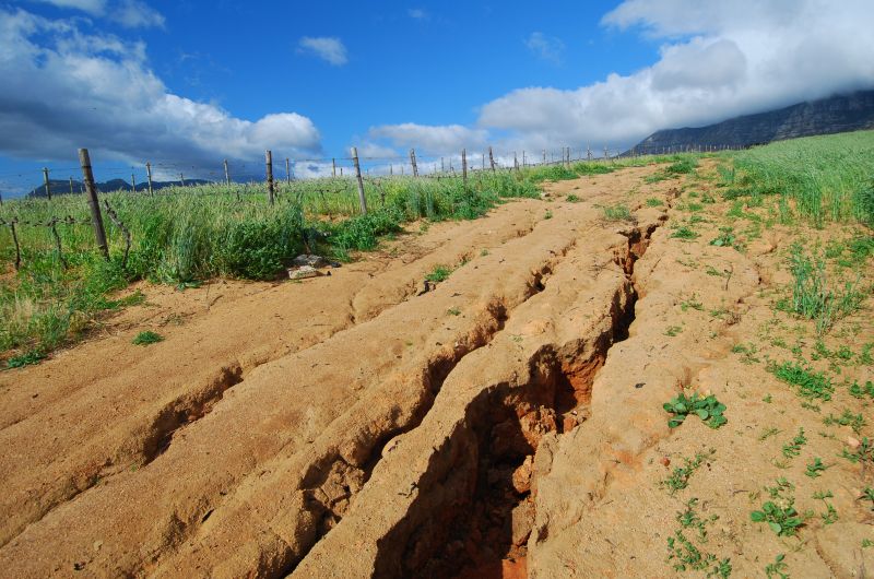 Lawn Erosion Repair in Honolulu, HI