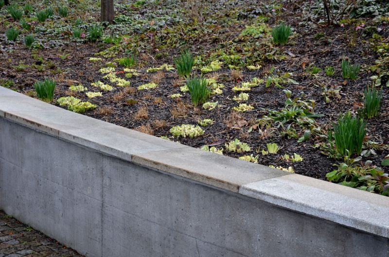 Lawn Erosion Repair in Honolulu, HI