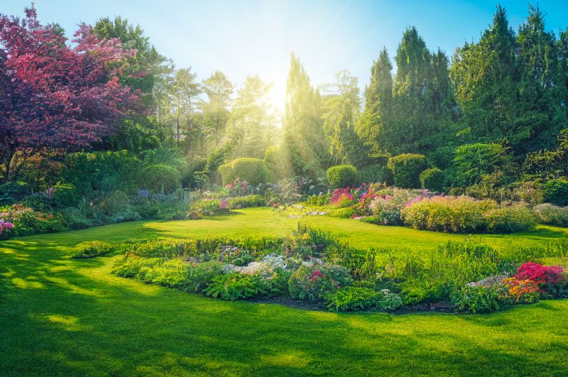 Lawn Landscaping in Honolulu, HI