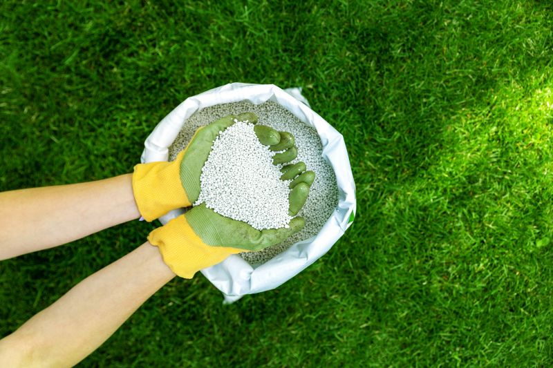 Lawn Patching in Honolulu, HI