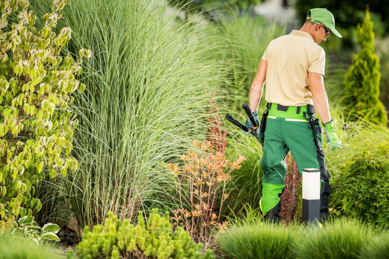 Lawn Repair Service in Ventura County, CA