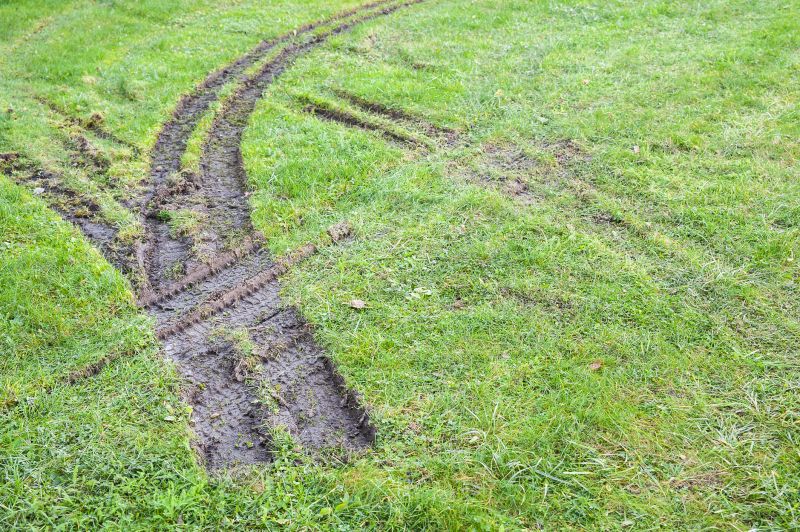 Lawn Rut Repair in Honolulu, HI