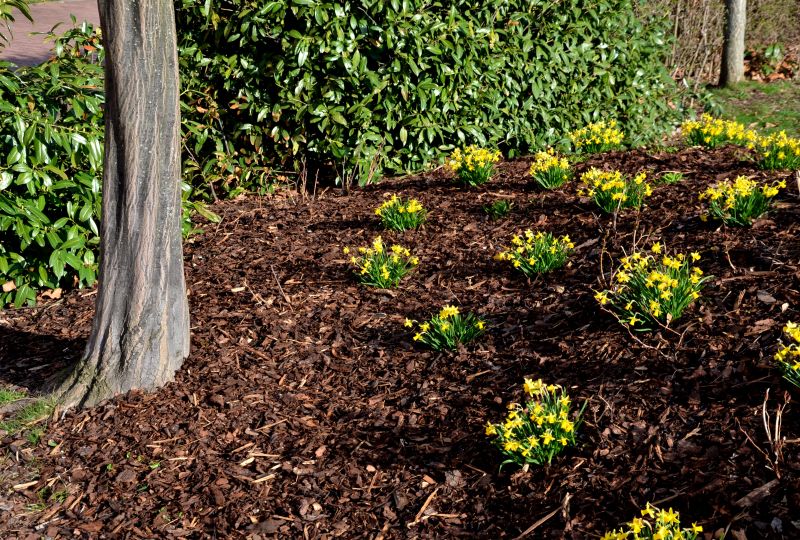 Mulch Service in Ventura County, CA