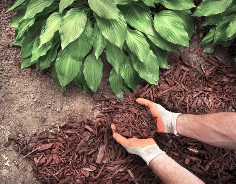 Mulch Spreading in Honolulu, HI